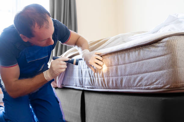 Best Bed Bug Extermination  in Winsted, MN